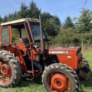 309617280_528152085983476_6981686205051025570_n