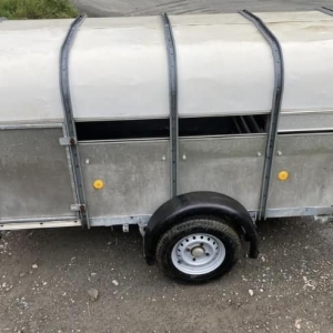 309659815_528153325983352_6759817740827498829_n