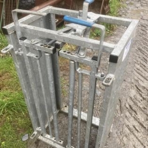 309844113_535324781932873_6213745810818436591_n