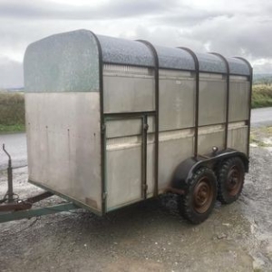 311324939_541246024674082_5207581203269769476_n