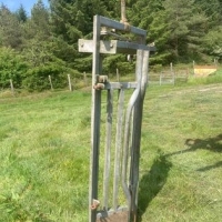 346635941_738299941635355_4444501999541767825_n