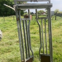 348604922_738299988302017_7826055845177487215_n