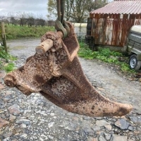 395420504_832544442210904_531973444723764124_n