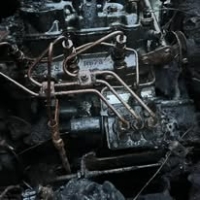 470229179_1138246851640660_3756911784298161680_n