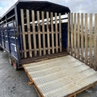 474082268_1165501895581822_505569939414441117_n