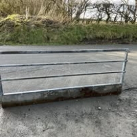 475970126_1175596921238986_6728189016099432727_n