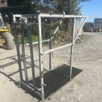 494259512_1250756540389690_3845313795416006551_n