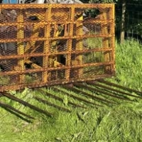 495016279_1254423676689643_3566004470089486415_n