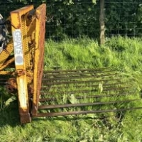 495564415_1254423690022975_3375770592546816444_n