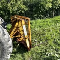 495654998_1254423550022989_6260682775060719163_n