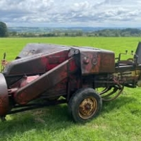 520823012_1319245783540765_2139766474436366895_n