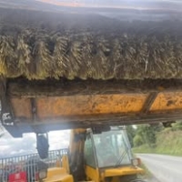 520824051_1319238940208116_2744869457346361303_n