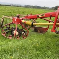 532898459_1341218321343511_8621255668628541875_n