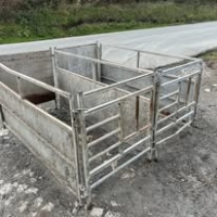 555708399_1384941130304563_9127235747346789168_n