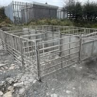 556030898_1383852400413436_5764688245503822595_n