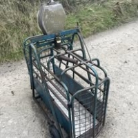 565133549_1403626088436067_7587316816587534742_n