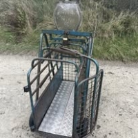 565380762_1403626221769387_8041831670394915639_n