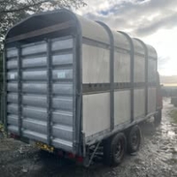 581160789_1429257182539624_6192075406909390486_n