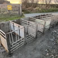 603913115_1460213309444011_2183108181222537830_n